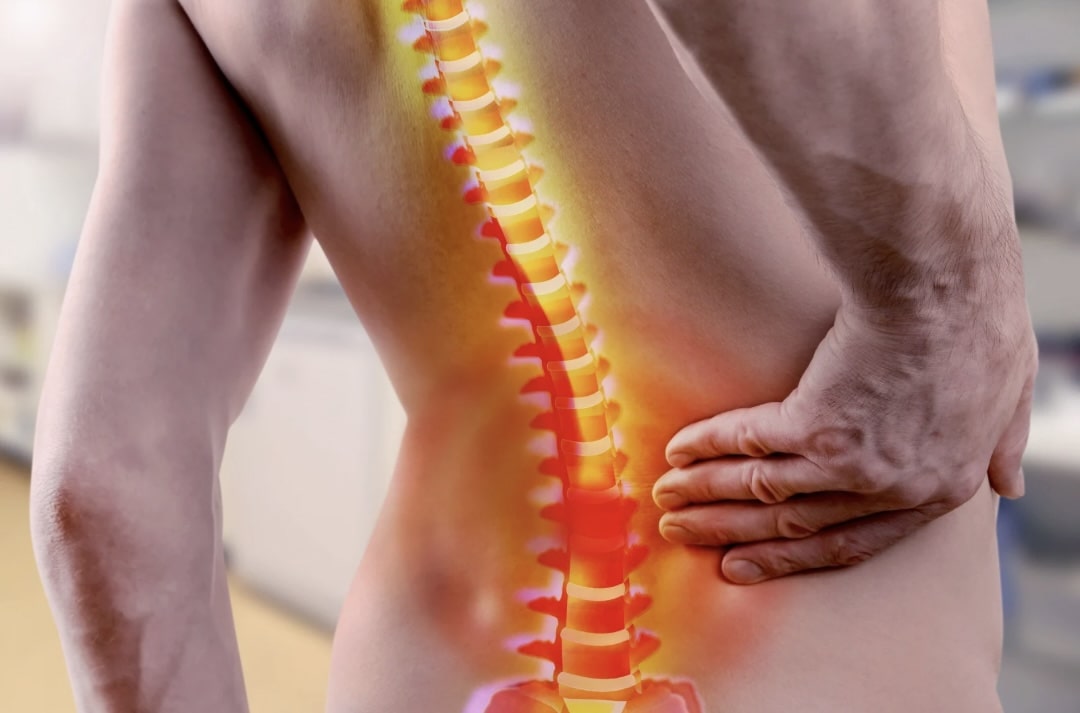 画像の説明 画像の説明