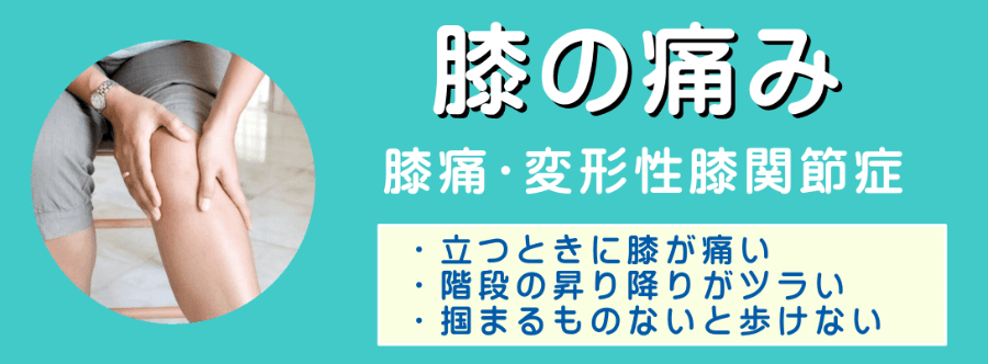 画像の説明 画像の説明